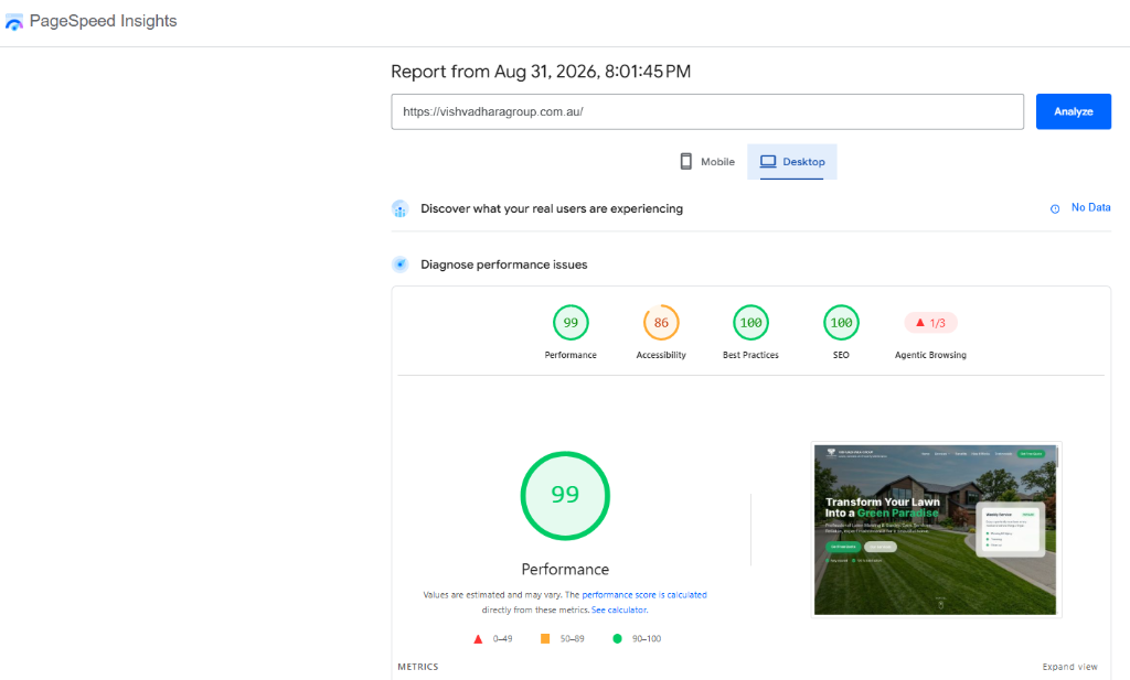 Google PageSpeed Insights performance results for Vishvadhara Group website
